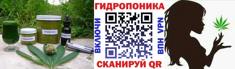 Купить где  Белокуриха  Еда ТГК конопля 