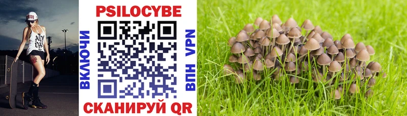 Псилоцибиновые грибы мицелий  Купить закладки  Белокуриха 